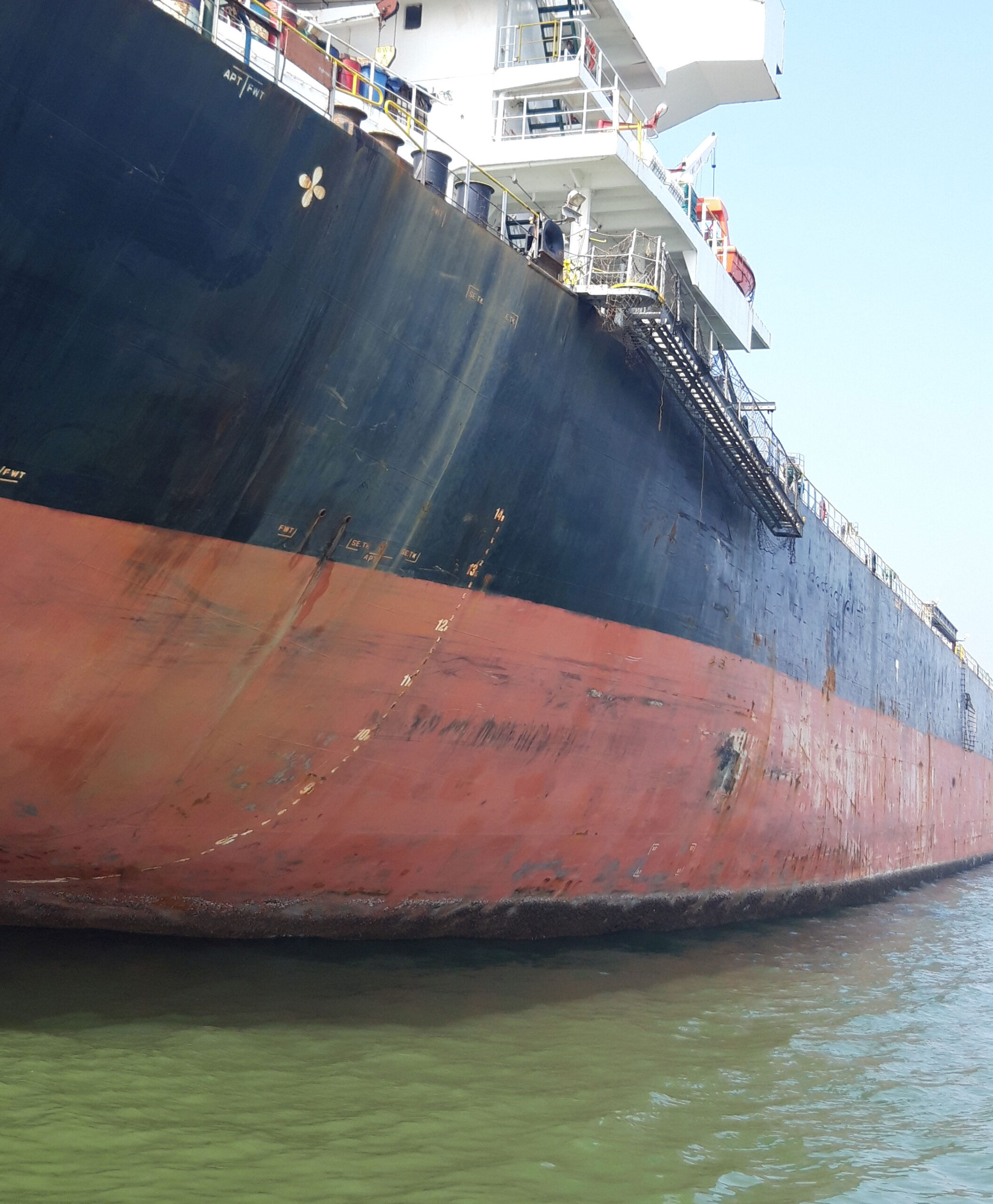 evangelia m, insurers, salvage, cost-efficient